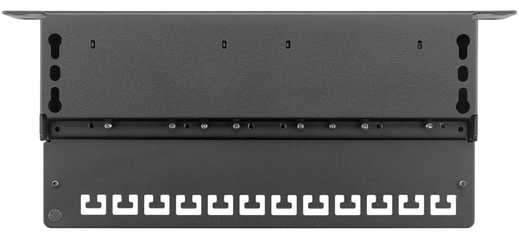 CAT 6a 10-Zoll (25,4 cm) Patch Panel, 12 Port, (1 HE)