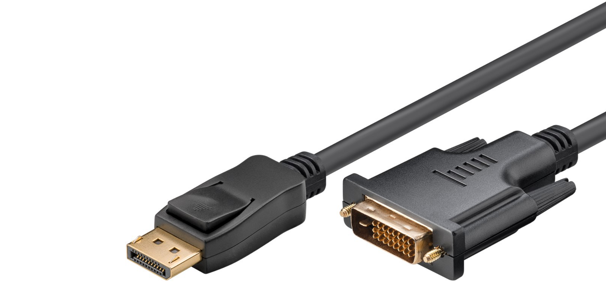 DisplayPort/DVI-D-Adapterkabel 1.2